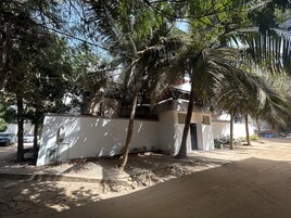 Un edificio de fachada blanca, rodeado de palmeras y suelo arenoso.