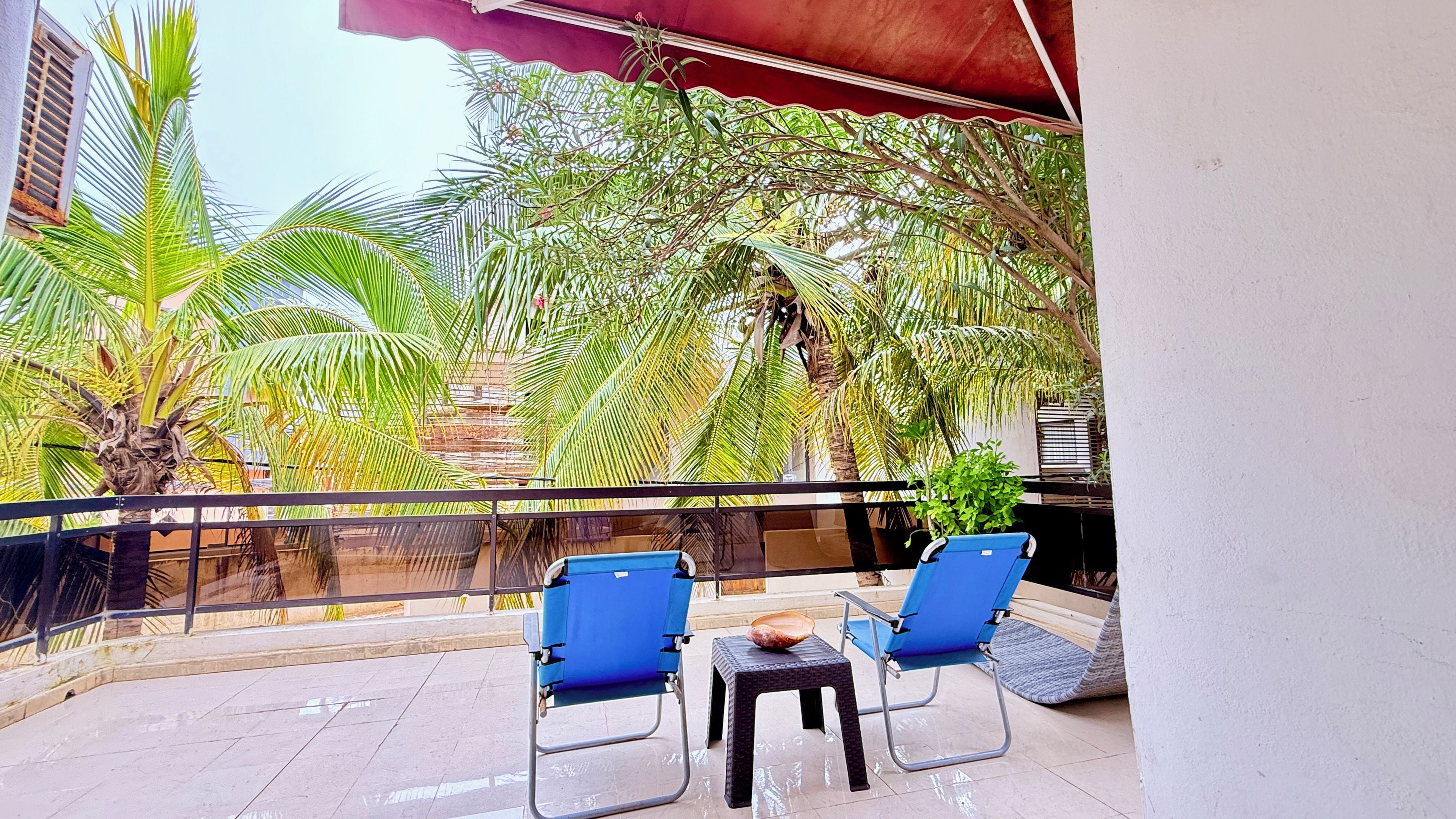A balcony with two blue chairs, a small table, and a potted plant.
