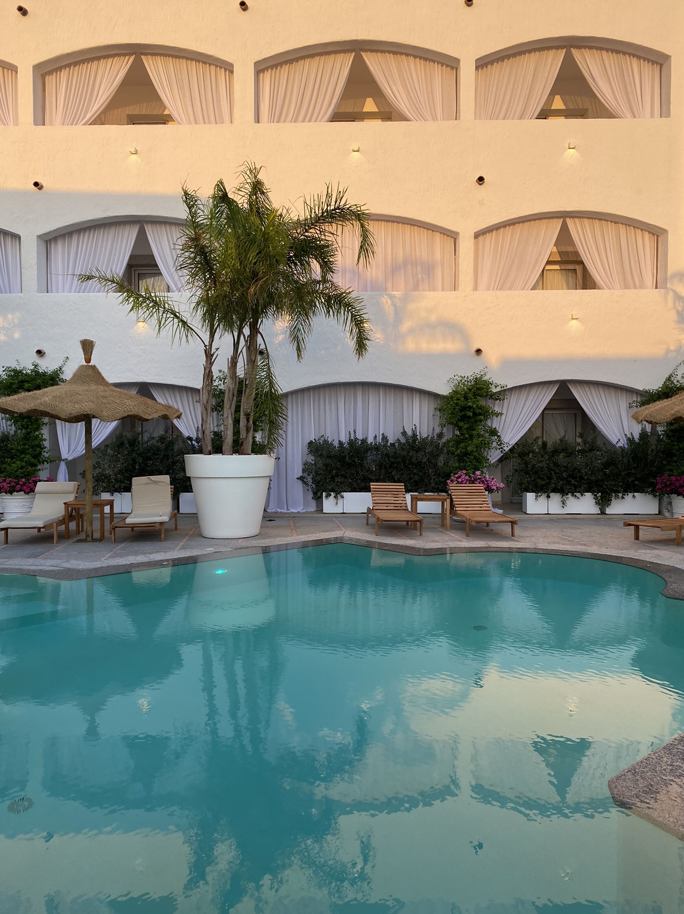 A pool area with lounge chairs and a large potted plant.