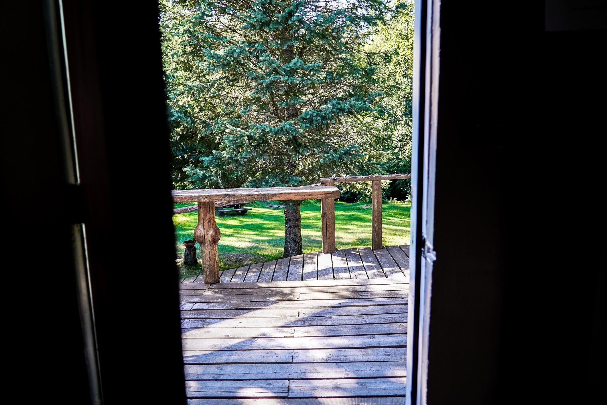 A wooden deck with a picnic table and a tree in the background.