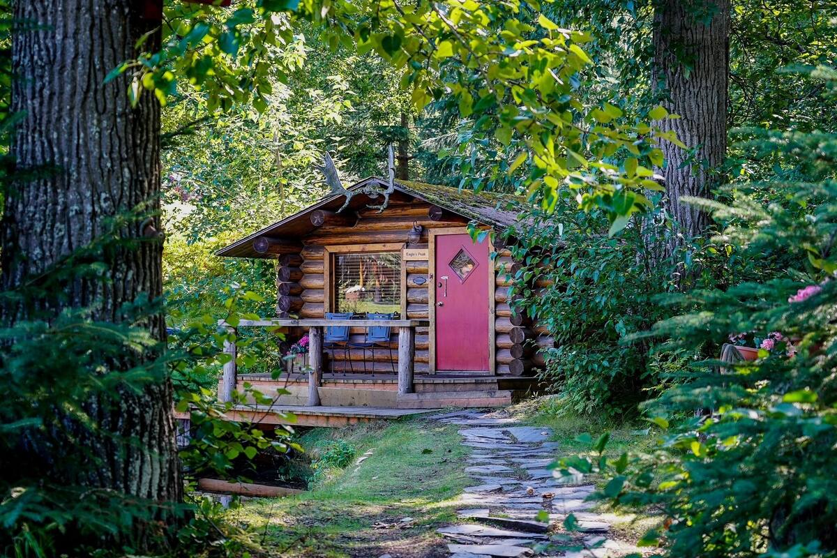 A rustic cabin with a red door, surrounded by dense forest.