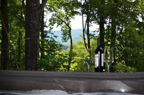 Ein Tisch mit einer Weinflasche und einem Glas, vor einer Baumlandschaft und einer entfernten Bergblick.