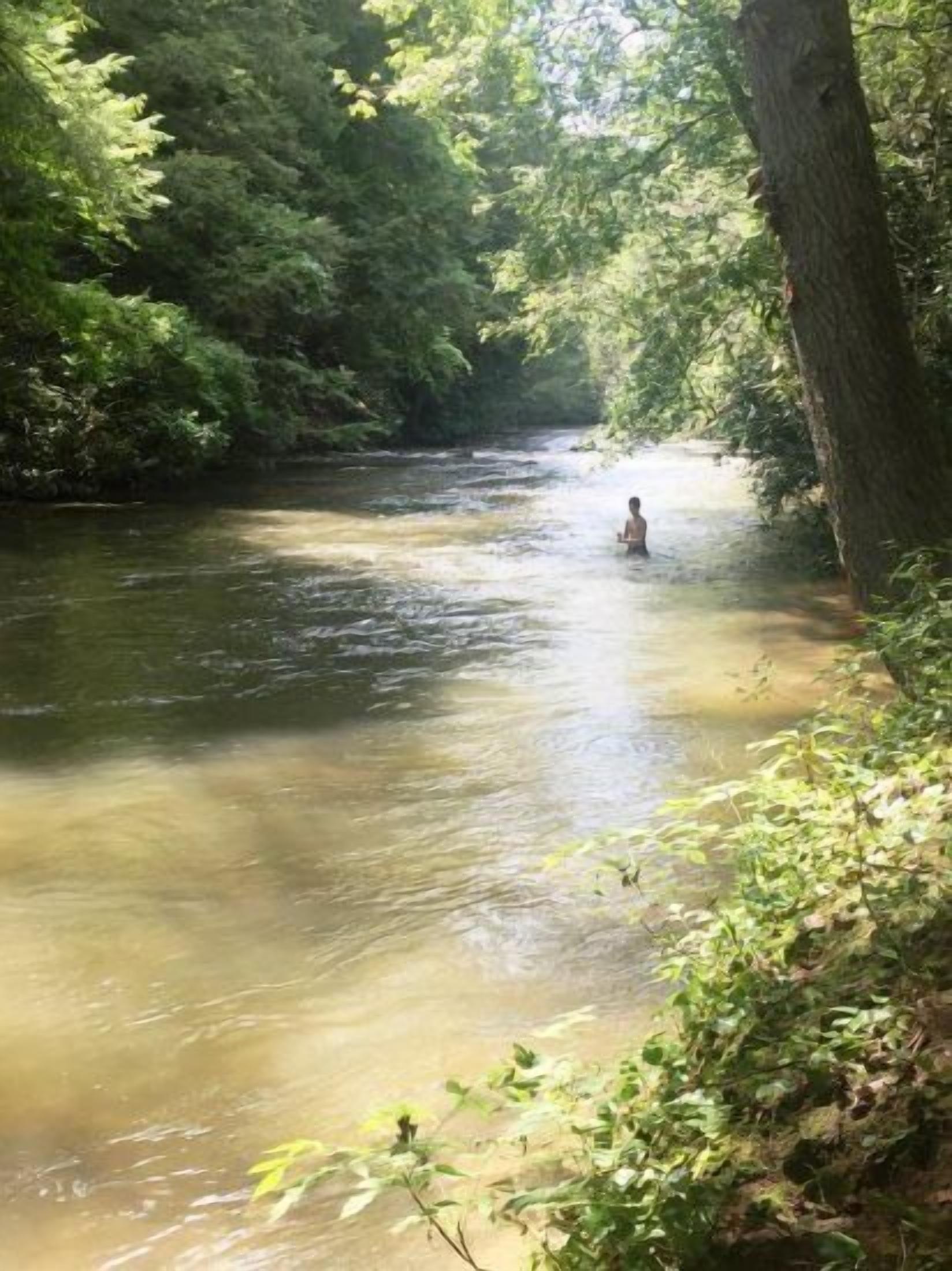 A river with a person standing in the water, surrounded by dense greenery.