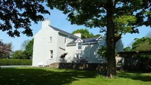 A white two-story house with a stone wall and a large tree in front. - Hartley House B&B (Carrick-on-Shannon)