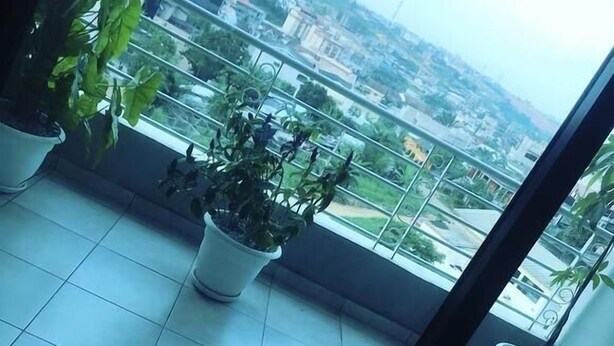 A balcony with potted plants and a city view. - Residence djoumah (Abidjan)