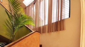 Un escalier avec des marches en bois menant à un palier, une plante en pot et une fenêtre avec des rideaux.