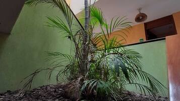 TelevisiĂłn LED 32 pulgadas con canales de televisiĂłn por cable