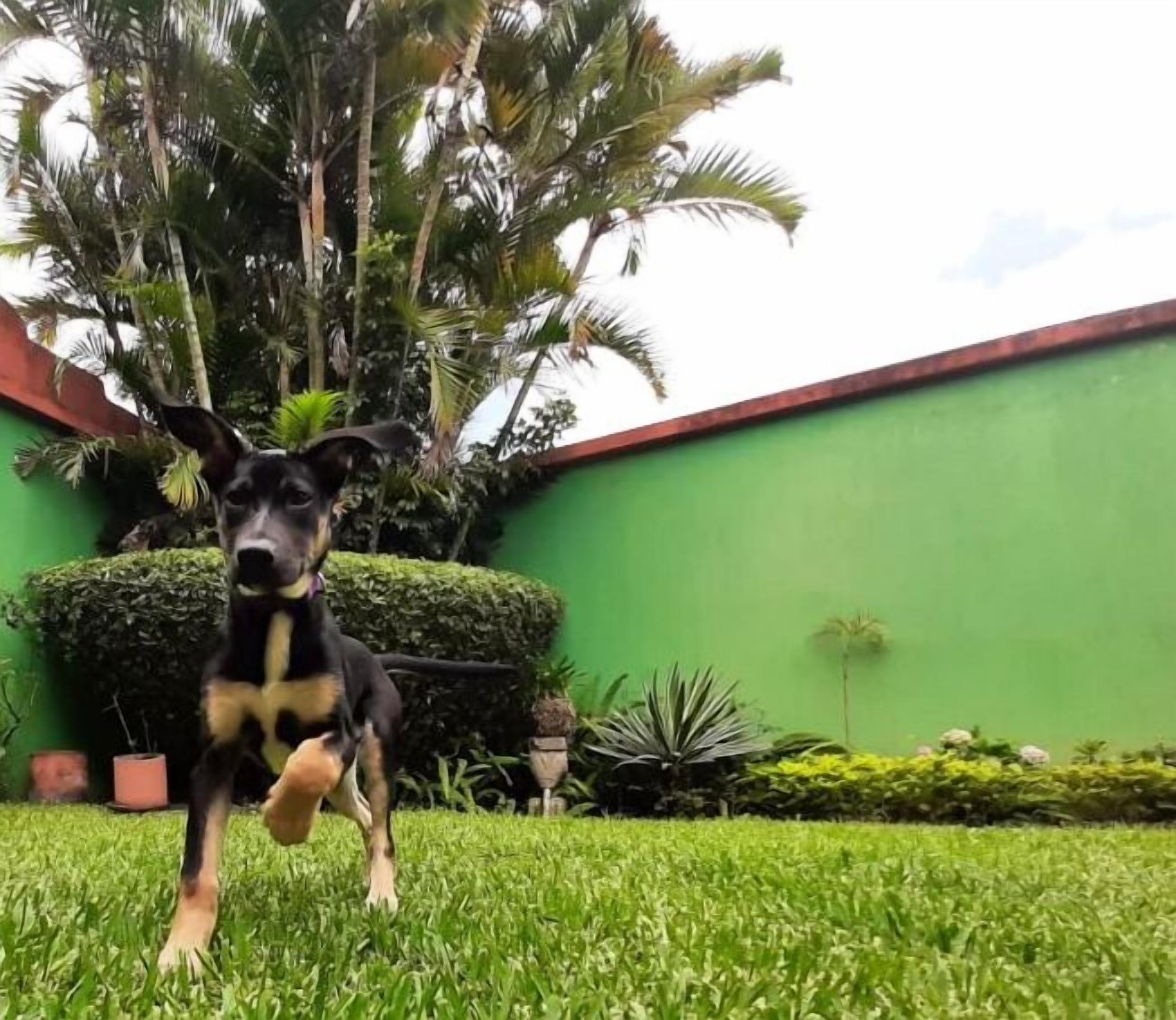 32-inch led tv with cable channels, tv