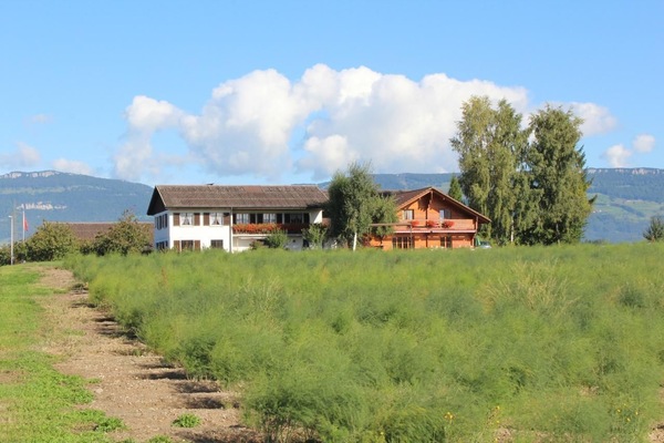 Weierhof