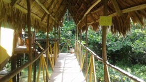 Property grounds - Johmer Expedition Tours & Lodge (Iquitos)