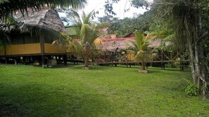 Garden - Johmer Expedition Tours & Lodge (Iquitos)
