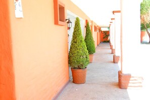 Property grounds - Hotel El Rancho (Navojoa)