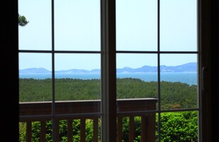 Vista desde la habitación