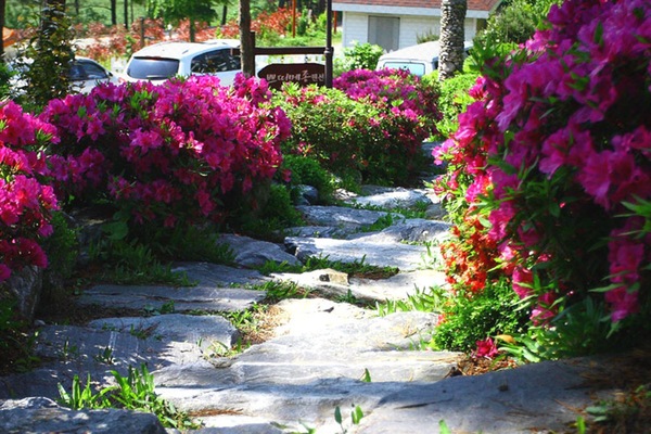 Jardín