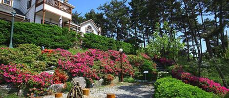 A house with a garden featuring a fire pit and wooden stools, surrounded by lush greenery and pink flowers.