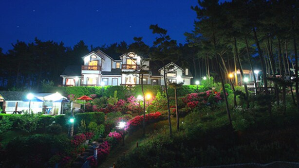 A large, multi-story house with a well-lit garden and a clear night sky. - Petit Maison Pension (Taean)