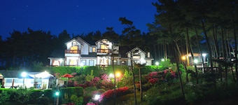 Petit Maison Pension