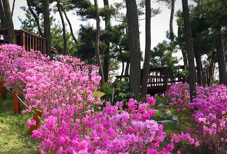 Jardín