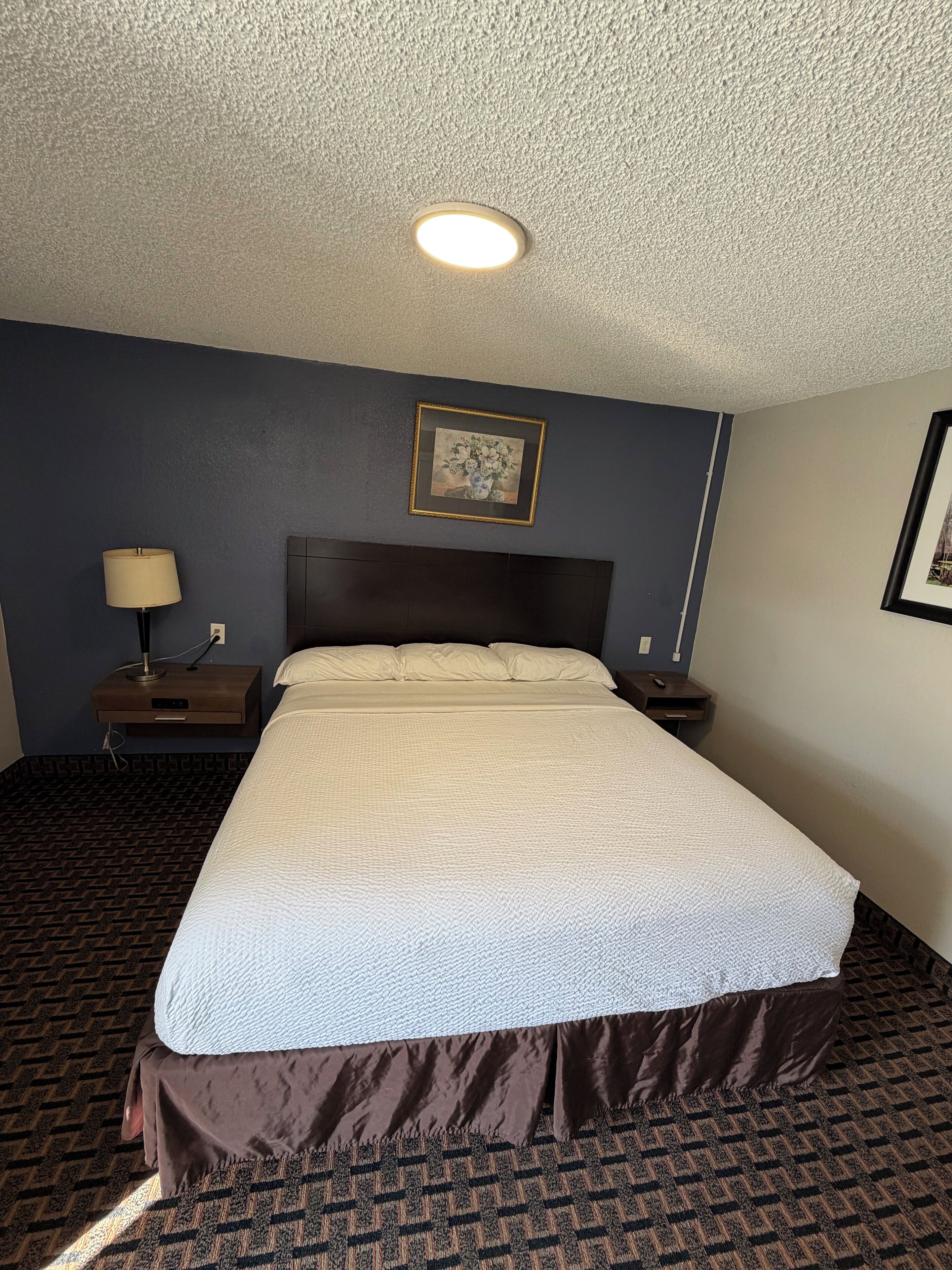 A hotel room with a large bed, a nightstand with a lamp, a framed picture on the wall, and a ceiling light.
