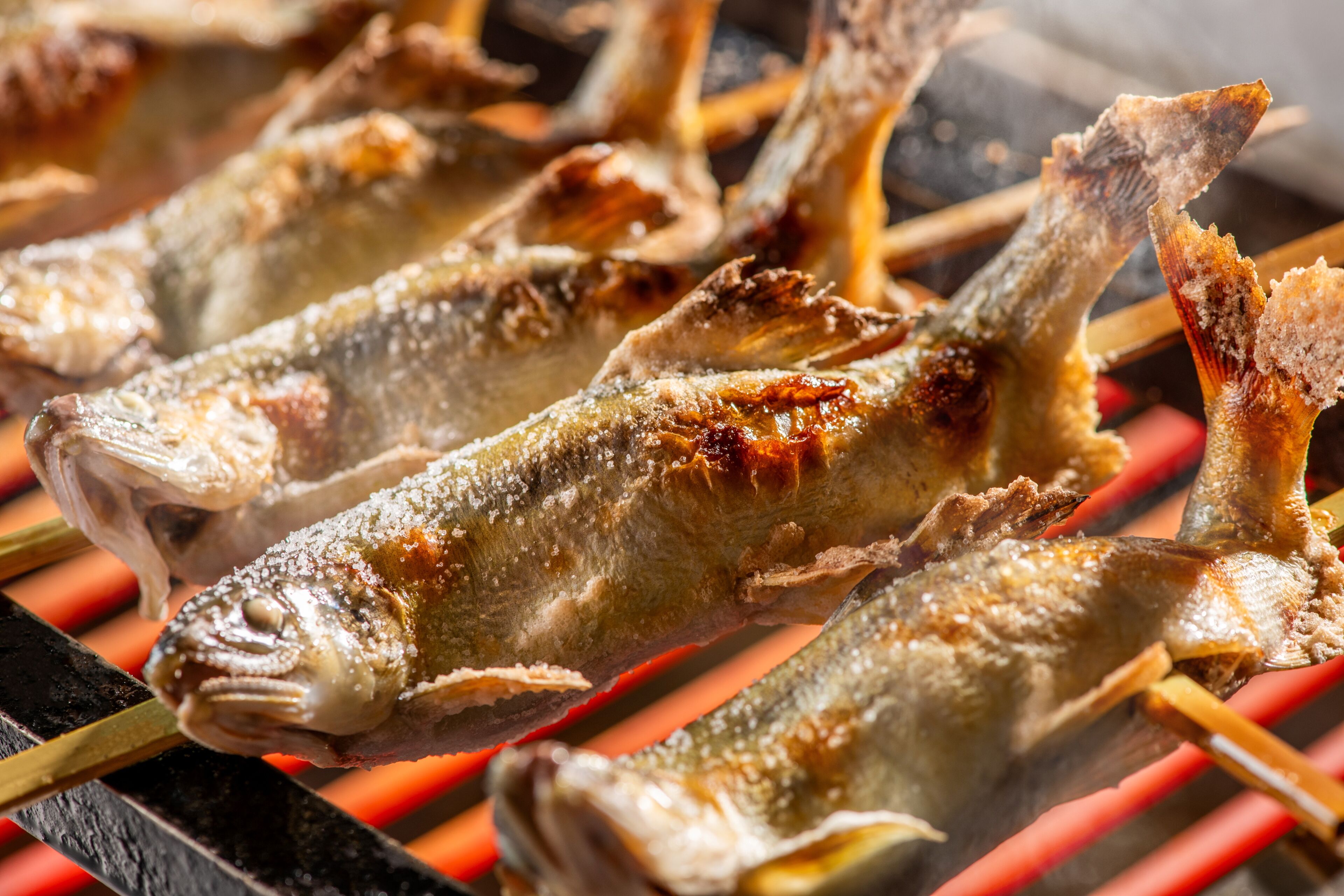 Gegrilde vis op een barbecue.
