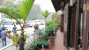 Une allée couverte agrémentée de plantes en pot, dotée d’une rambarde en métal, et offrant une vue sur la rue, avec des voitures garées et des piétons.