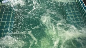 Une piscine rectangulaire à l’eau claire, o ù l’on peut voir des bulles, et dont le pourtour est bordé de carreaux.