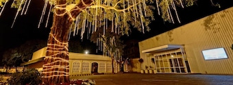 Faletti's Lahore
