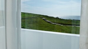 A view through a window of a grassy area with a wooden pathway leading to the sea.