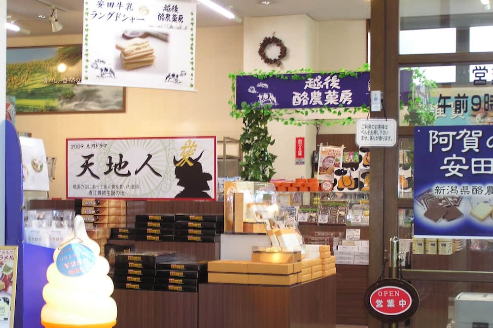 ハツカ石温泉 石打ユングパルナス 新潟県 塩沢 舞子 石打 おすすめ人気宿泊プラン一覧 トラベルjp ハツカ石温泉 石打ユングパルナス 新潟県 塩沢 舞子 石打 おすすめ人気宿泊プラン一覧 トラベルjp