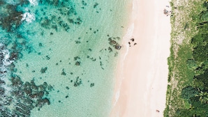 Vista aérea de una playa con aguas turquesas cristalinas, una orilla arenosa y vegetación densa a la derecha.