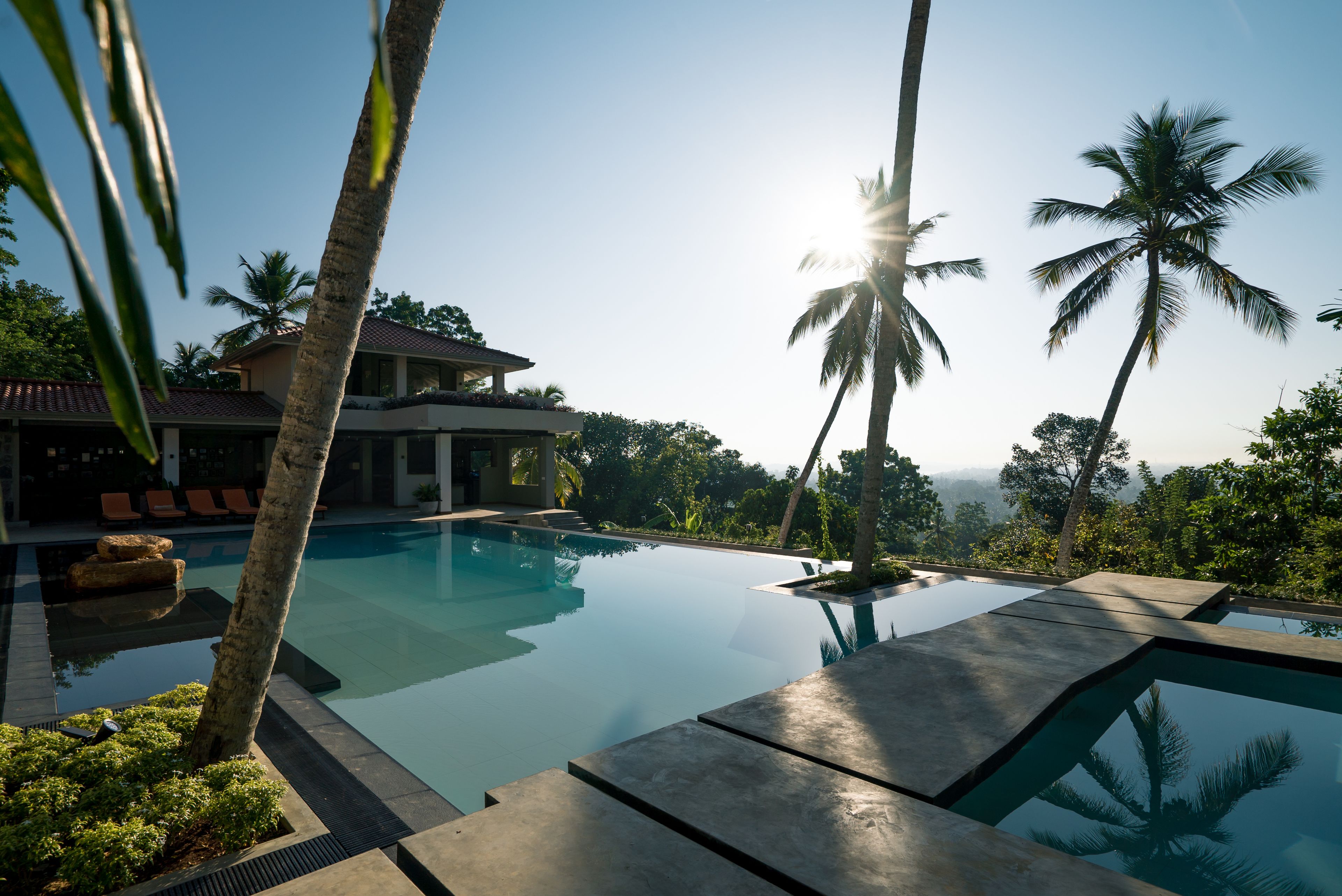 A swimming pool with a view of a house and palm trees.