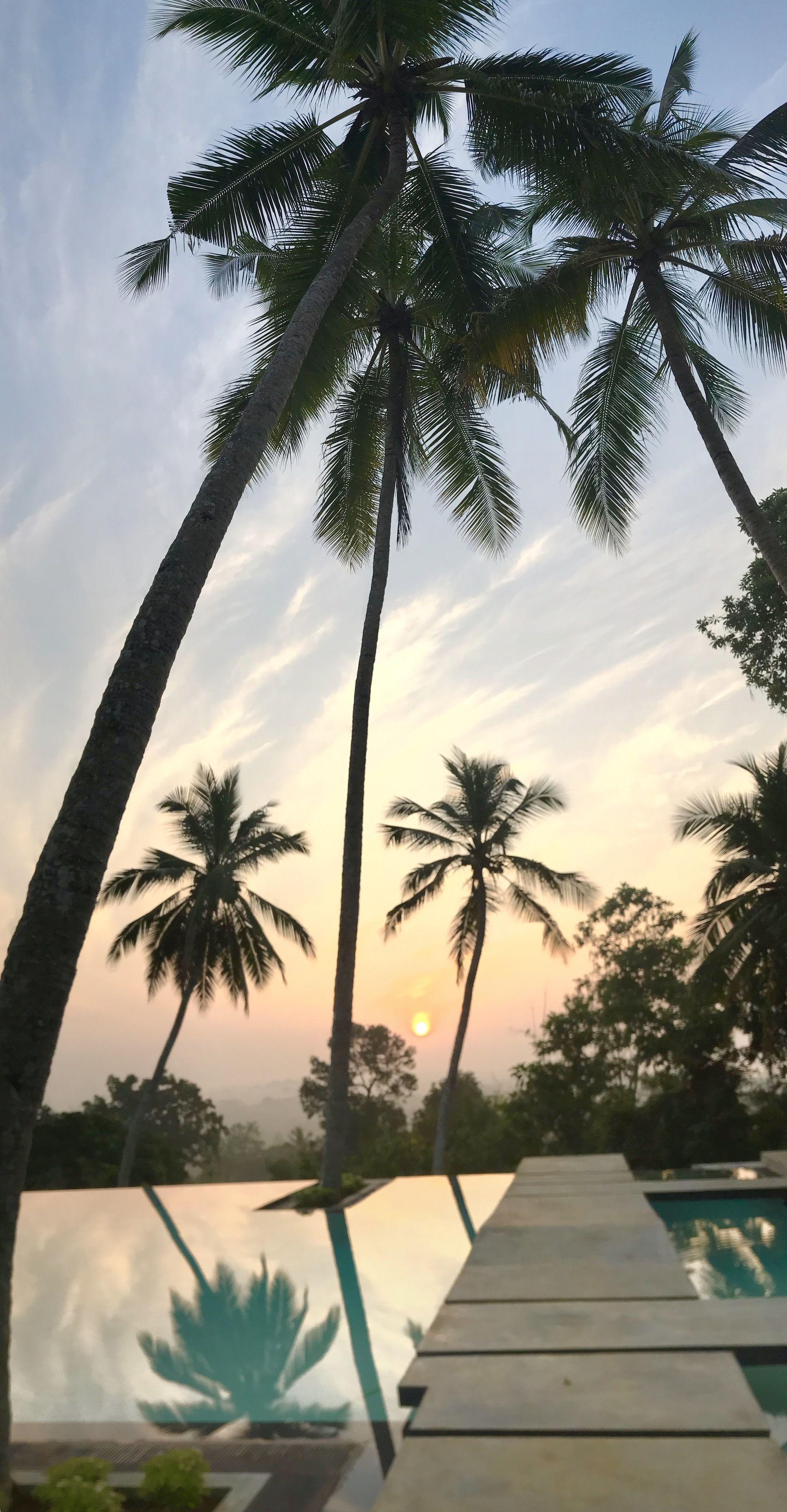 Vista a la piscina con palmeras y un atardecer.