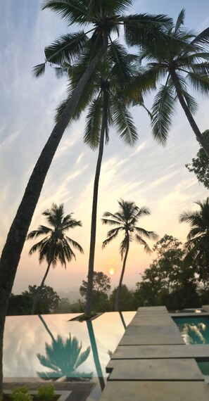 A poolside view with palm trees and a sunset.
