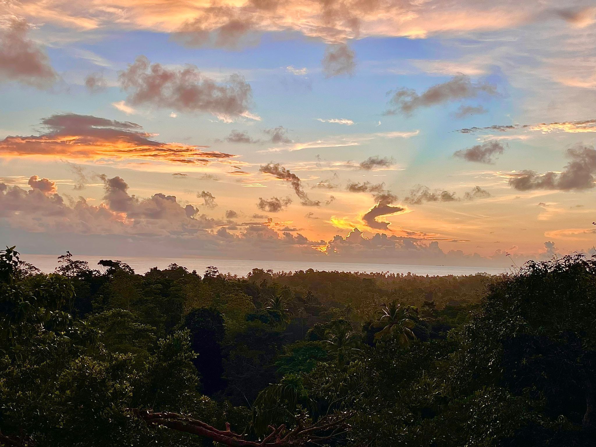 A sunset over a coastal landscape with dense vegetation in the foreground.