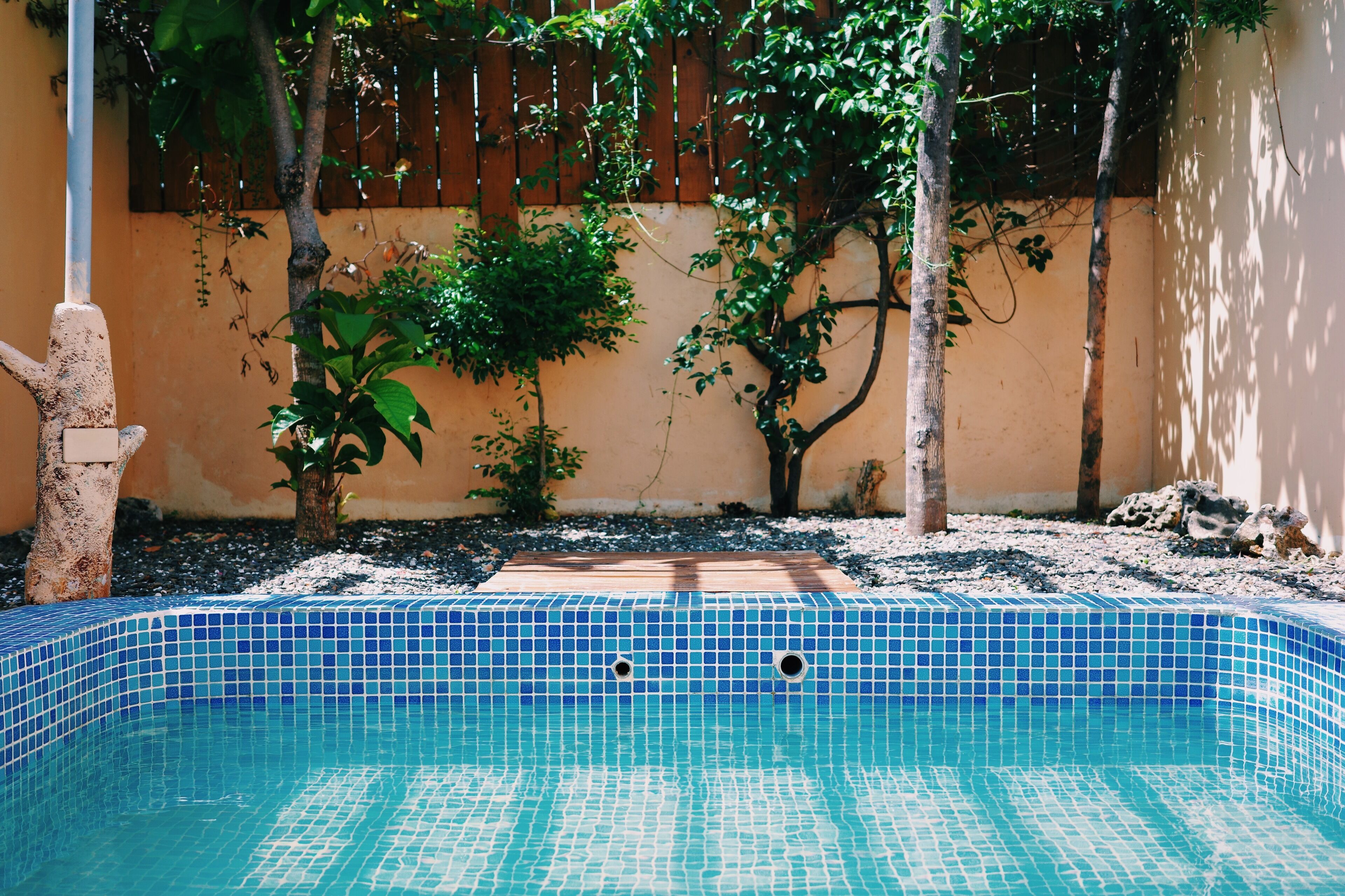 A swimming pool with blue tiles, surrounded by plants and a wooden fence.