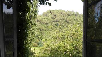 Double Room | Pemandangan dari bilik