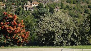 Een seizoensgebonden buitenzwembad