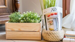 Une jardinière en bois contenant des plantes vertes, un magazine intitulé « AD » et un panier tressé posés sur un sol carrelé.