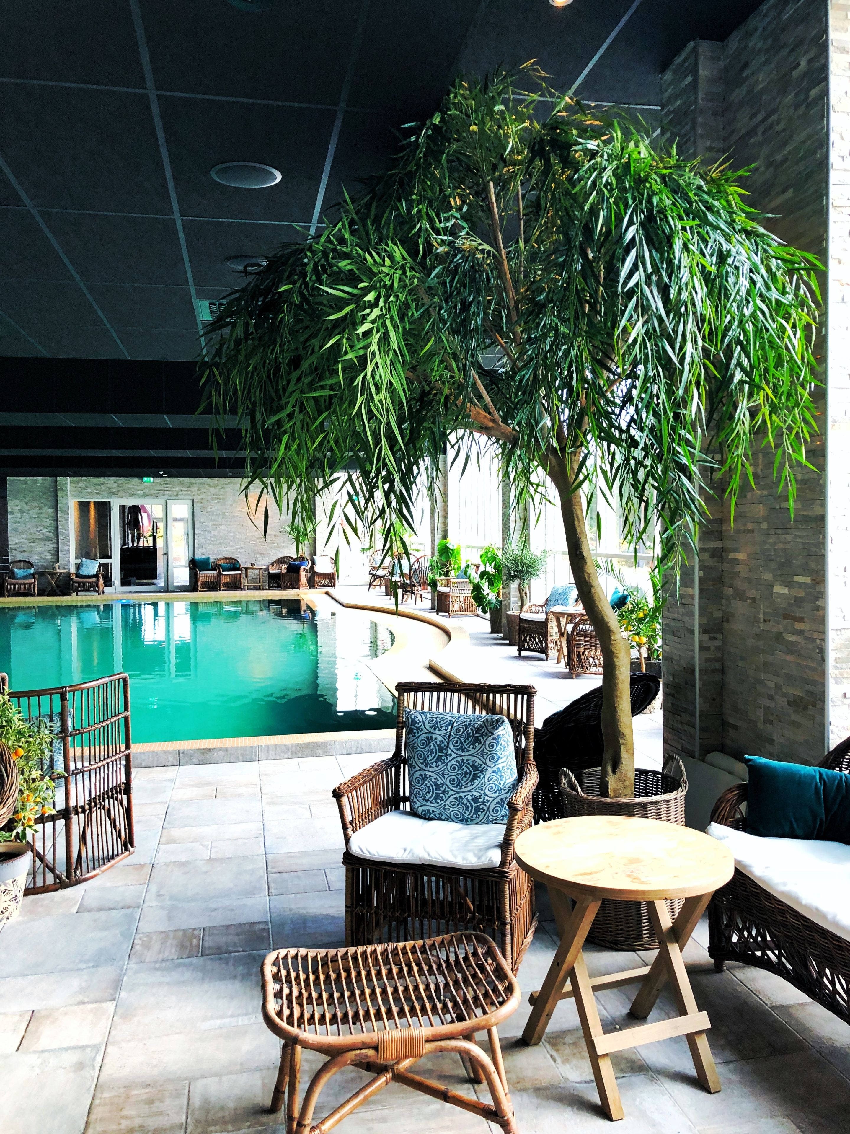 Spa reception