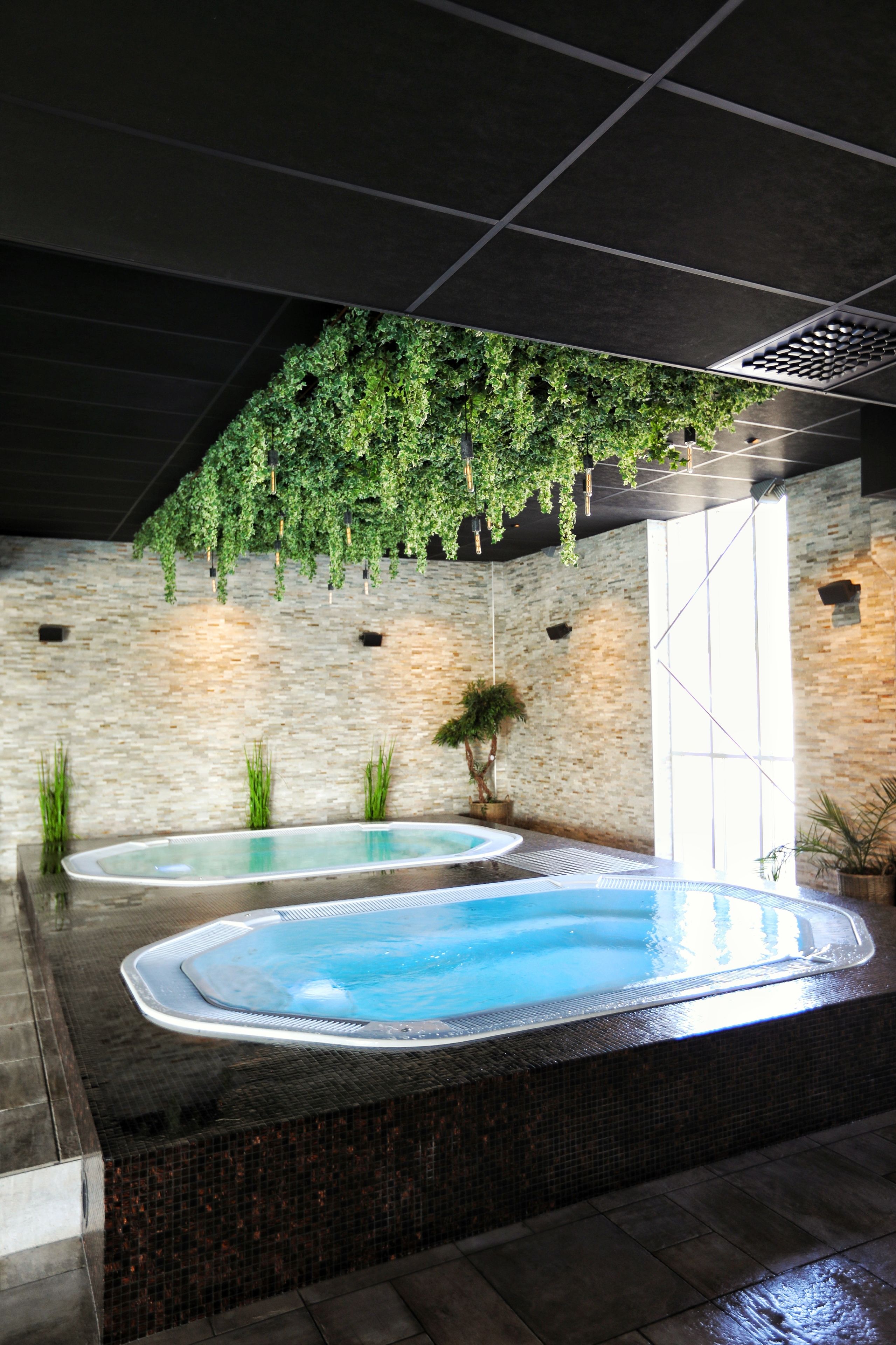Un espace spa comprenant deux bains à remous, un mur en pierre et des plantes suspendues.