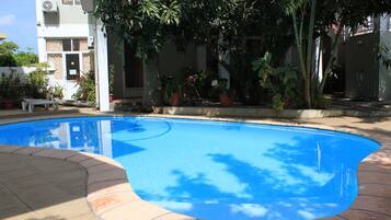 Outdoor pool, sun loungers