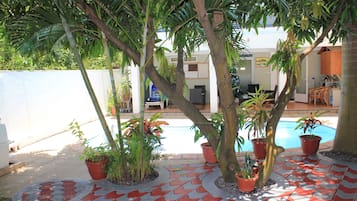 Outdoor pool, sun loungers