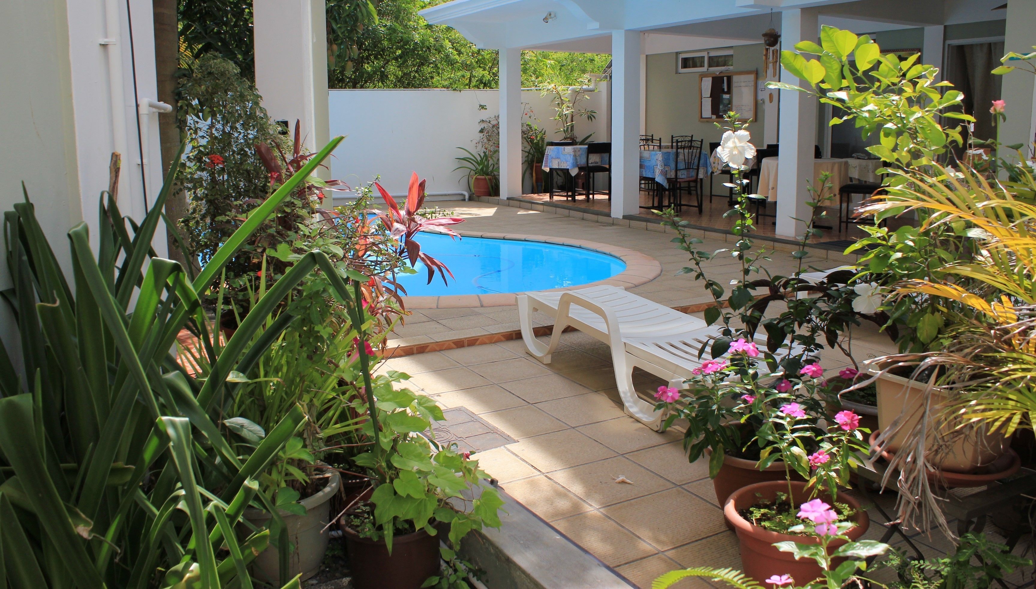 A pool area with a white lounge chair, potted plants, and a dining table with chairs.