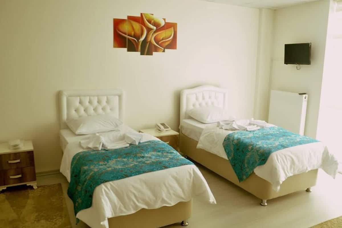 Standard Double Room | Desk, WiFi (free)