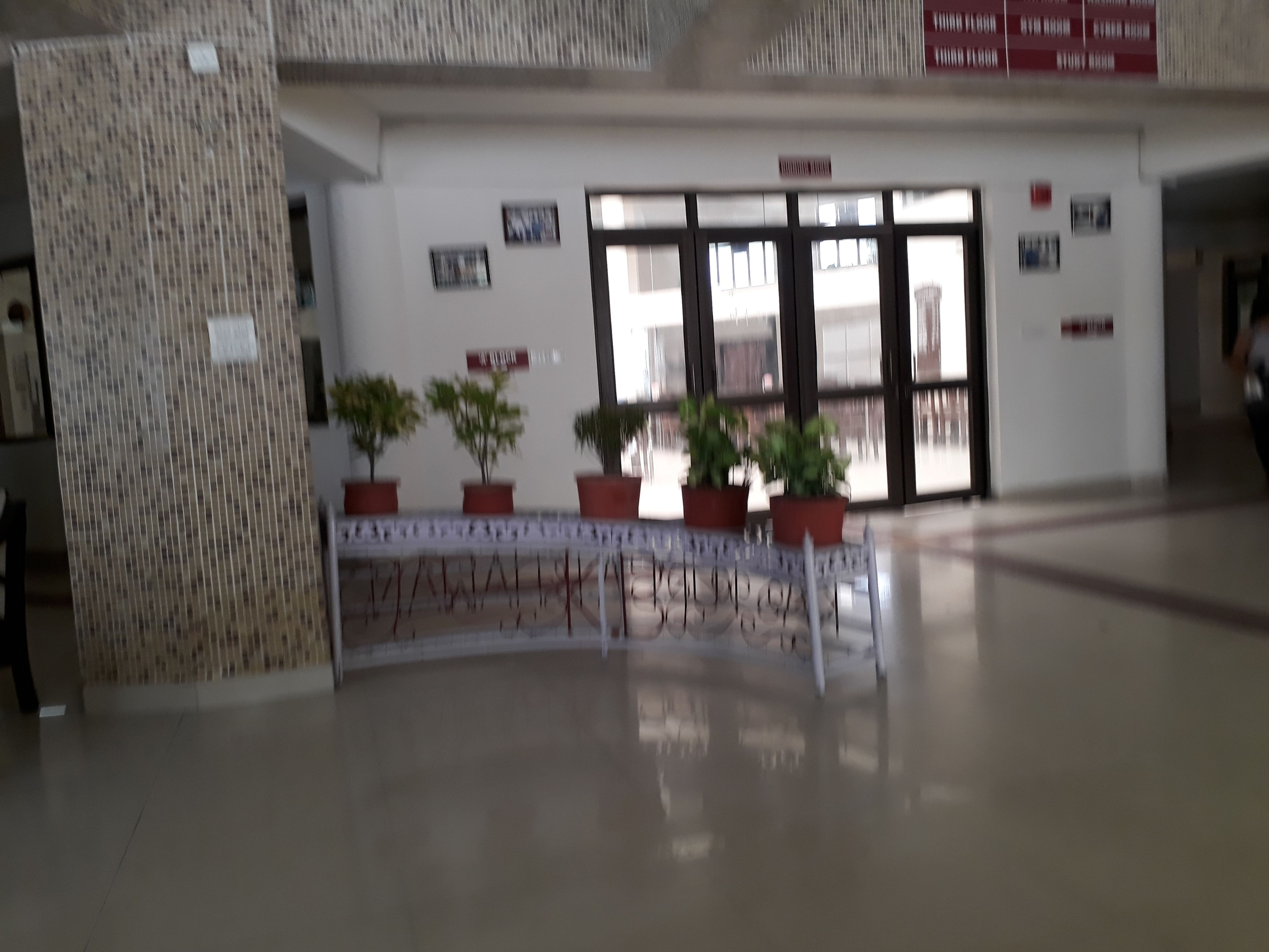 A lobby with a reception desk, potted plants, and a glass door entrance.