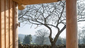 A wooden deck with a table and chairs, overlooking a stone wall and trees. - Braisty Woods - Hopes & Beams (Harrogate)
