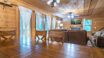 Smart-TV, Kamin