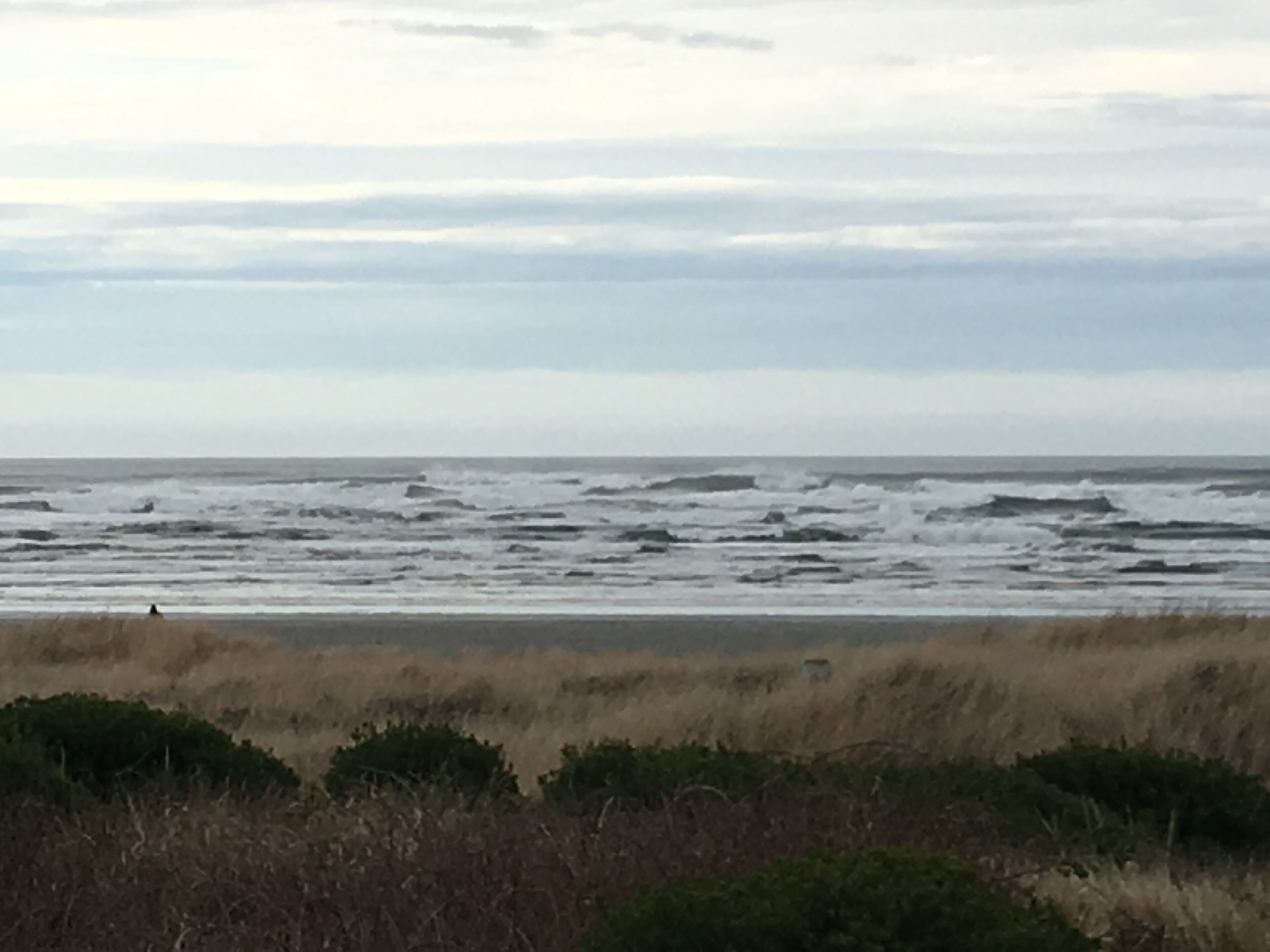 Beach nearby, beach towels