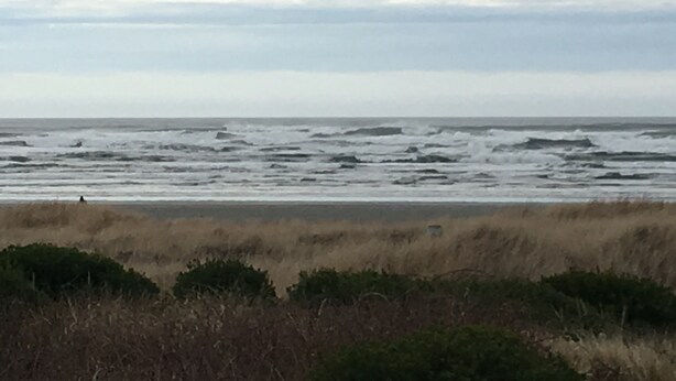 Een strand met ruwe golven en een bewolkte lucht.