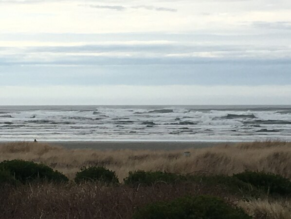 Nær stranden og strandhåndklær